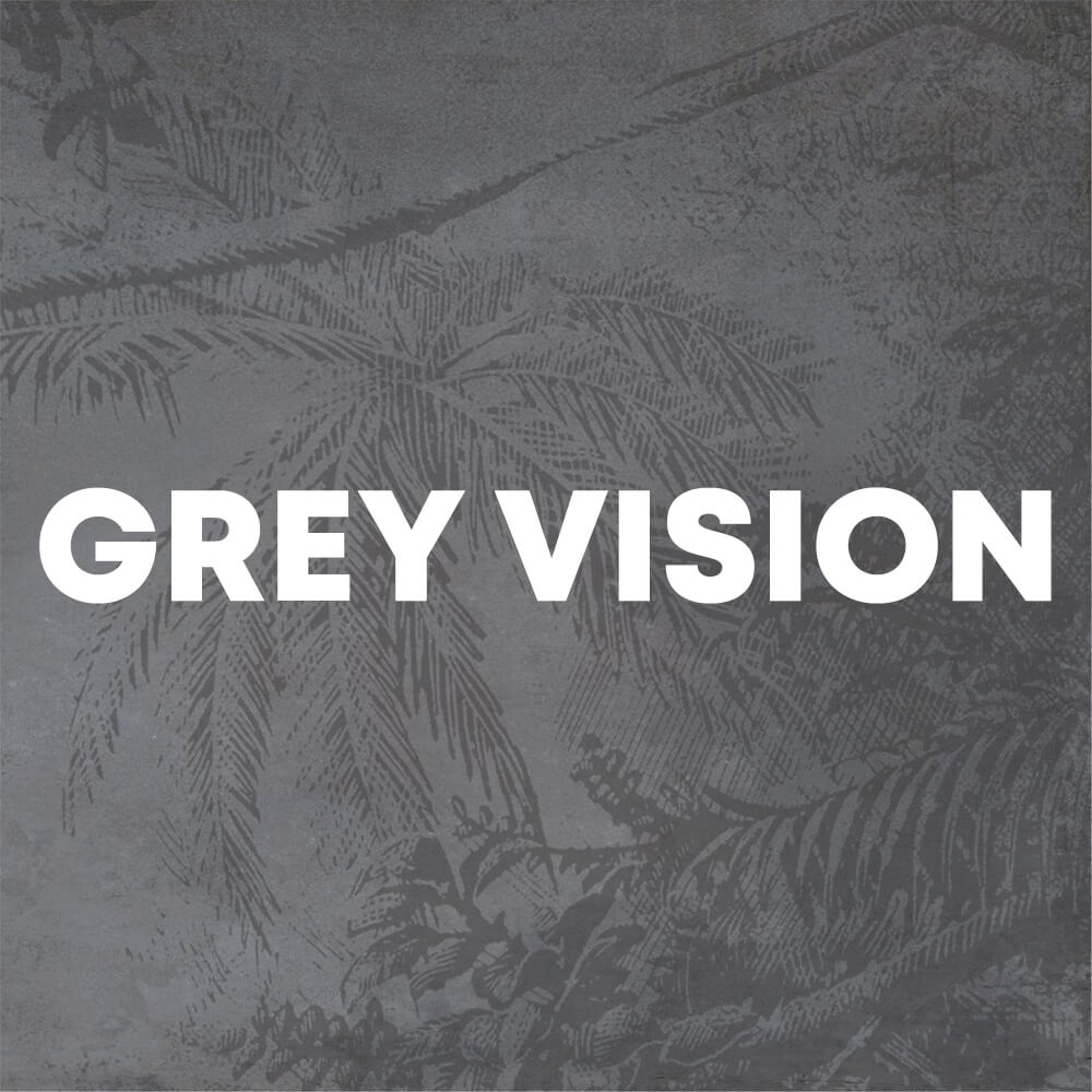 Grey Vision cover