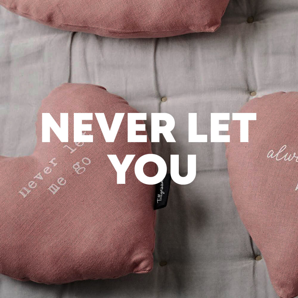 Never Let You cover