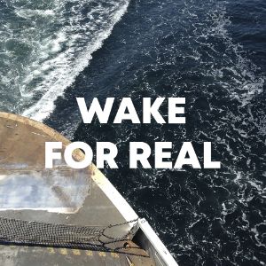 Wake For Real cover