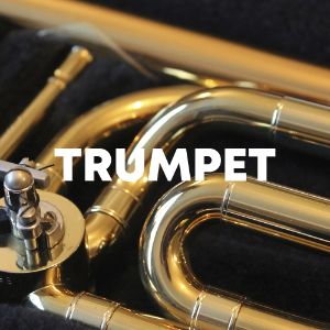 Trumpet cover