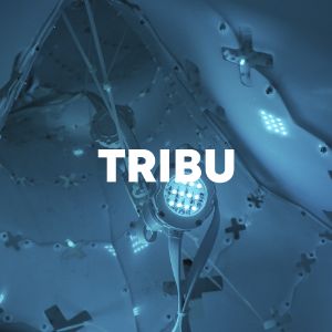 TRIBU cover