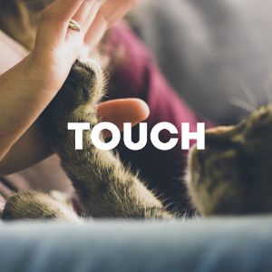 Touch cover