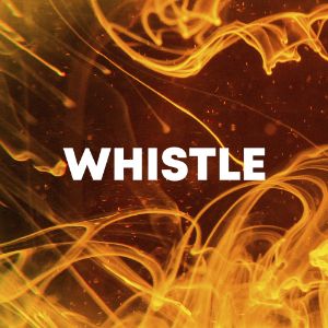 Whistle cover