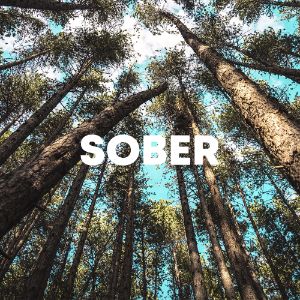 Sober cover