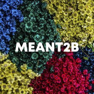 Meant2b cover