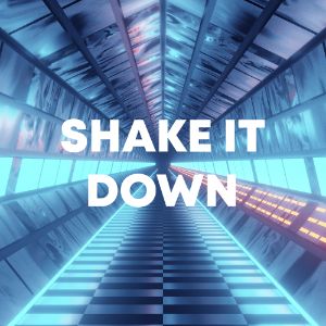 Shake It Down cover