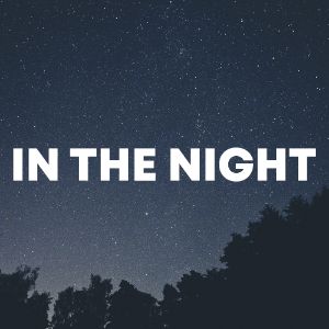 In The Night cover