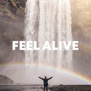 Feel Alive cover