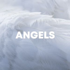 Angels cover