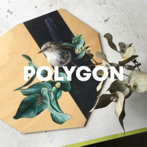 Polygon cover