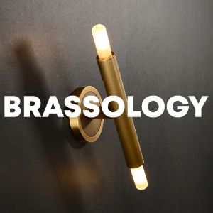 Brassology cover