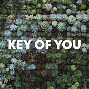 Key of You cover