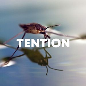 Tention cover