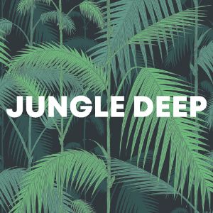 Jungle Deep cover