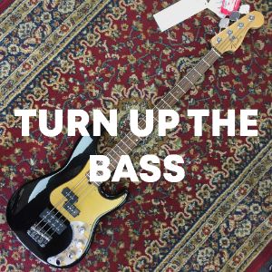 Turn Up The Bass cover
