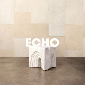 Echo cover