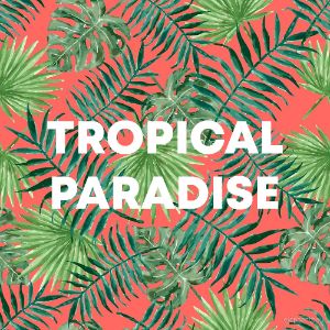 Tropical Paradise cover