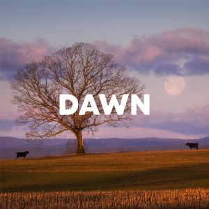 Dawn cover