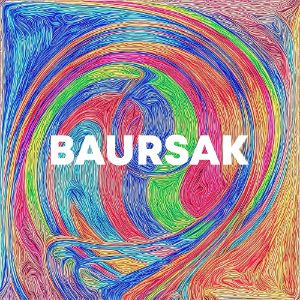 Baursak cover