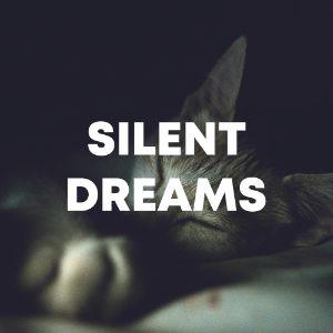 Silent Dreams ( Illenium Style ) cover