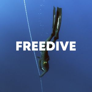 Freedive cover
