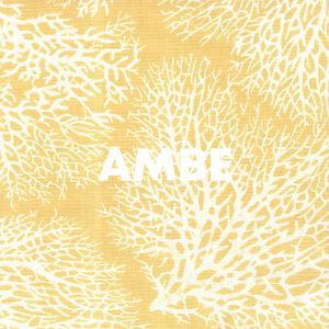 Ambe cover