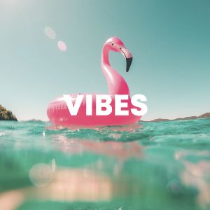 Vibes cover