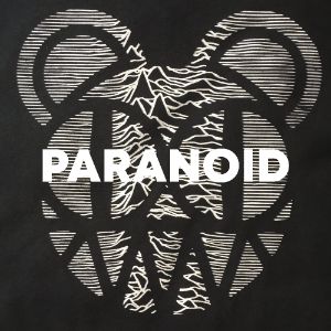 Paranoid cover