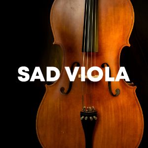 Sad Viola cover