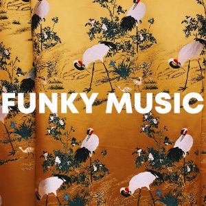 Funky Music cover