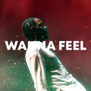 Wanna Feel cover