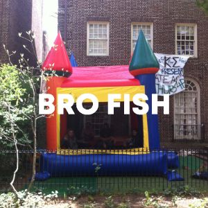 Bro Fish cover