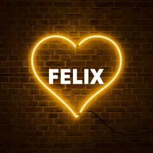 Felix cover