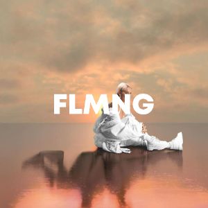 FLMNG cover