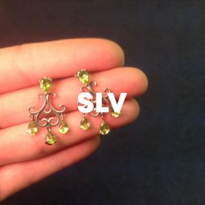 SLV cover