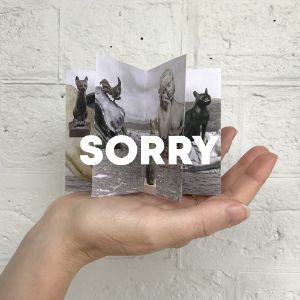 Sorry cover