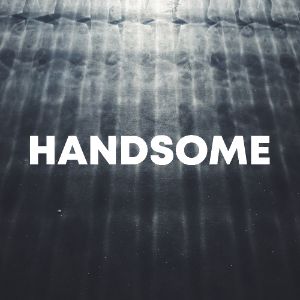 Handsome cover