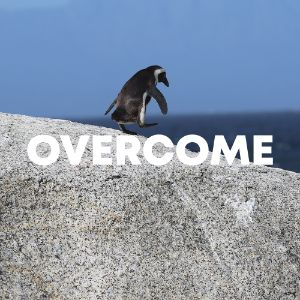 Overcome cover