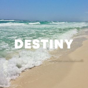 Destiny cover