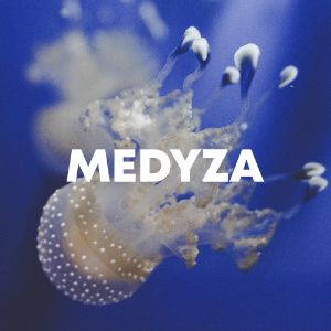 Medyza cover