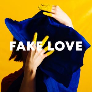 Fake Love cover