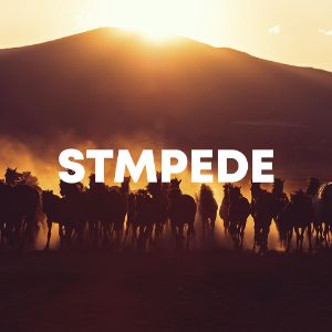 Stmpede cover