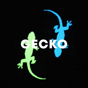 Gecko cover