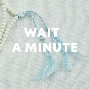 Wait a Minute cover