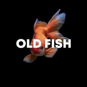 Old Fish cover