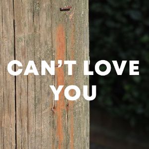 Can't Love You cover