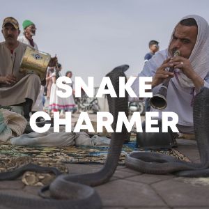 Snakecharmer cover