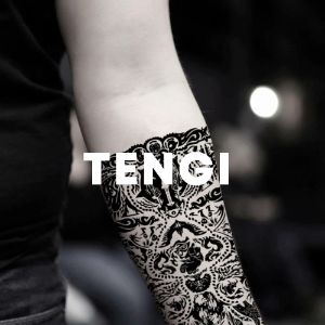 Tengi cover