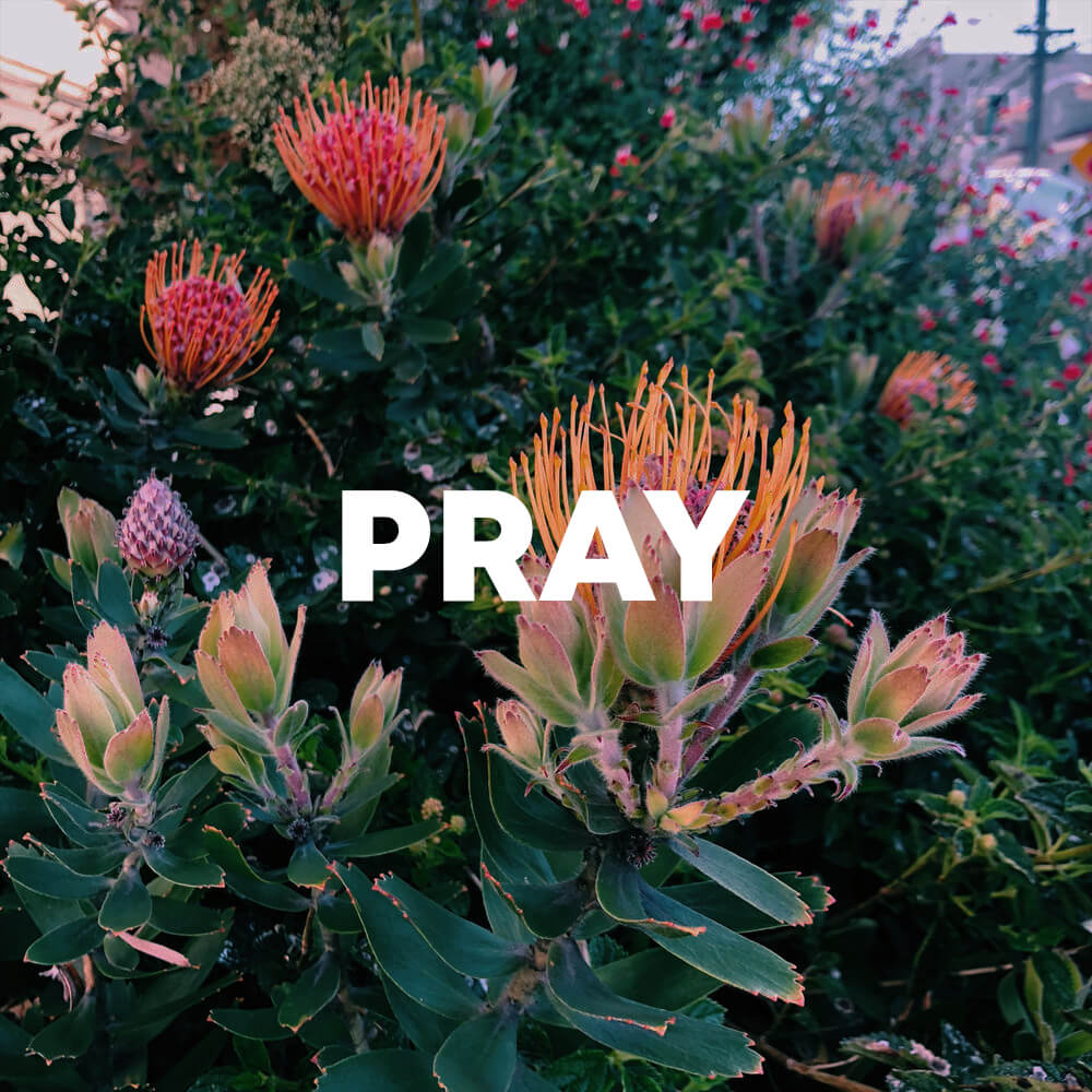 Pray cover