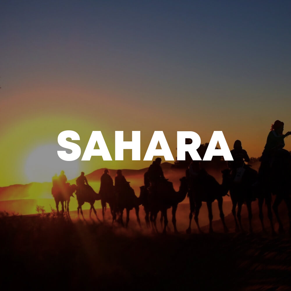 Sahara cover